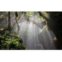 光的干涉、衍射、折射、反射、散射